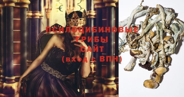 spice Лабытнанги
