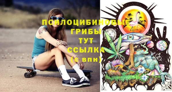 spice Лабытнанги