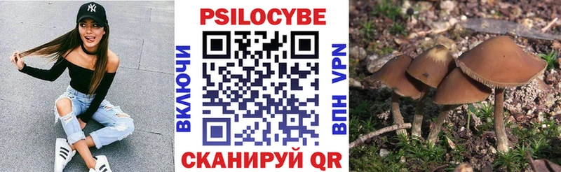 Купить  Новоульяновск  Галлюциногенные грибы Cubensis 